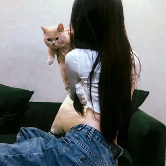 迈克先生的问答录影